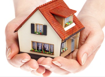 Willow Vietor Payments, Rates and Fees. paypal page, house in Willow's hands 